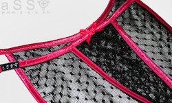 Royal-Lingerie (Pink/Fence Vamp)