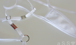 Physical-Bikini (White/Shine Ice)